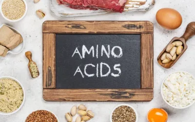Amino Acids: The Building Blocks of Life and Vitality